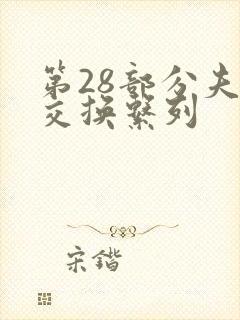 第28部分夫妇交换系列封面