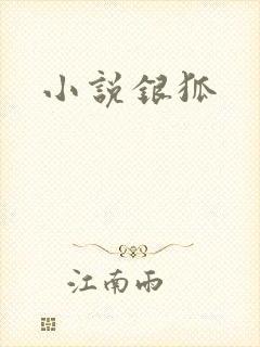 小说银狐