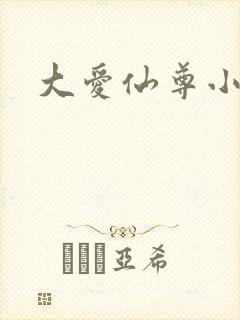 大爱仙尊小说