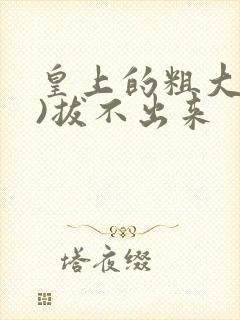 皇上的粗大(h)拔不出来