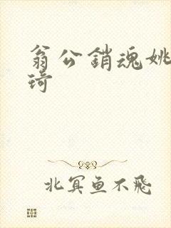 翁公销魂姚瑶琦琦