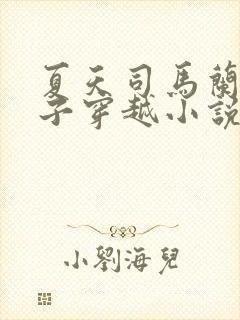 夏天司马兰九皇子穿越小说笔趣阁