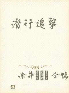 潜行追击