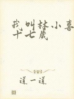 我叫林小喜今年十七岁