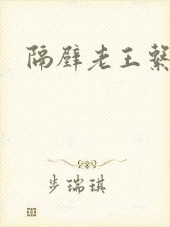 隔壁老王系统