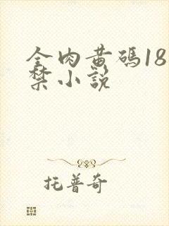 全肉黄码18无禁小说封面