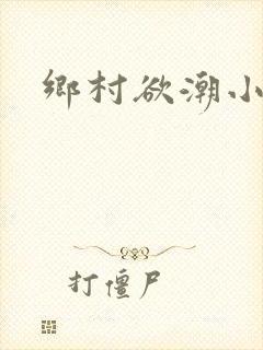 乡村欲潮小说