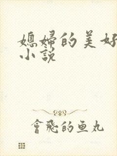 媳妇的美好时代小说封面