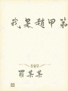 我是赵甲第小说
