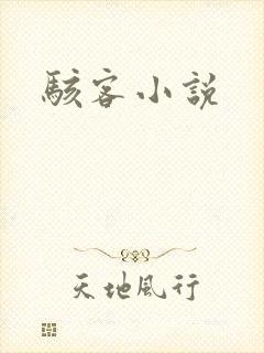 骇客小说