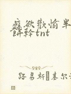 瘾欲欢愉半块小饼干tnt