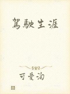 驾驶生涯