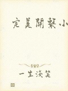 完美关系小说
