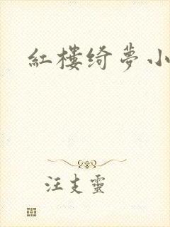 红楼绮梦小说封面
