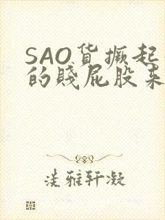 SAO货撅起你的贱屁股来