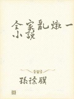 全家乱炖一锅烩小说