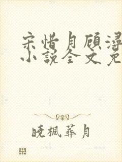 宋惜月顾浔渊的小说全文免费阅读