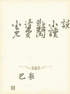 小清欢小说全文免费阅读