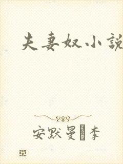 夫妻奴小说