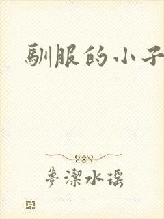 驯服的小子4