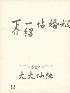 下一站婚姻剧情介绍封面