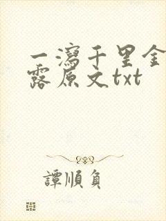 一泻千里金银花露原文txt