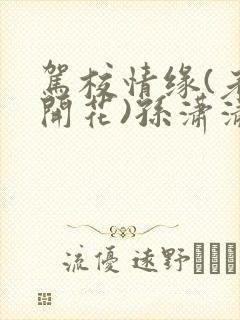 驾校情缘(老树开花)孙潇潇笔趣阁