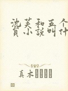 沈芙和五个消防员小说叫什么