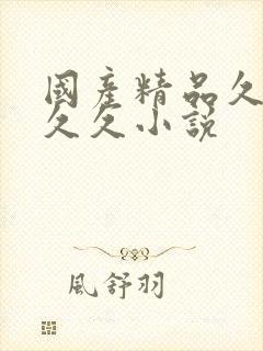国产精品久久久久久小说