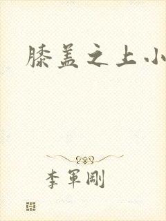 膝盖之上小说