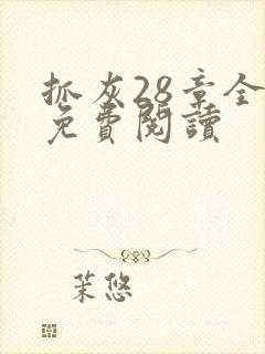 抓灰28章全部免费阅读封面