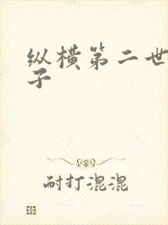 纵横第二世界宽子