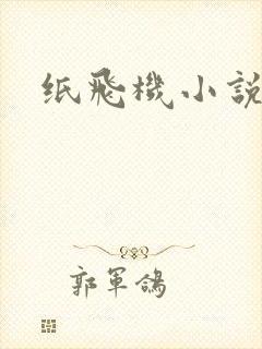 纸飞机小说