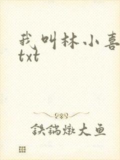 我叫林小喜小说txt