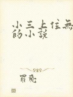 小三上位无三观的小说封面
