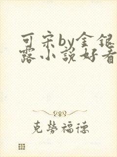 可宋by金银花露小说好看吗封面