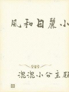 风和日丽小说