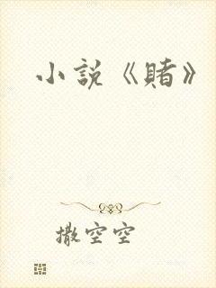 小说《赌》封面