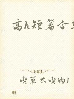 高h短篇合集封面