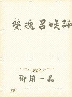双魂召唤师