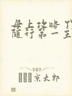 母上攻略 竹影随行第一主板封面