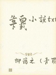告白小说txt下载