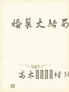 婚巢大结局封面