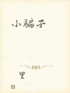 小骗子封面