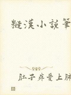 糙汉小说笔趣阁