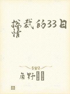 总裁的33日索情封面