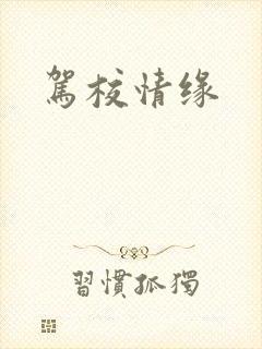 驾校情缘