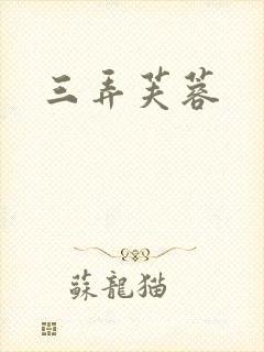 三弄芙蓉封面