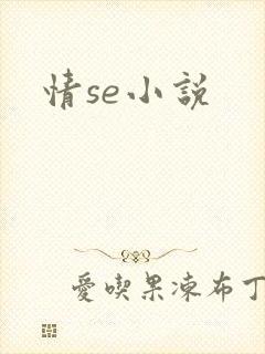 情se小说