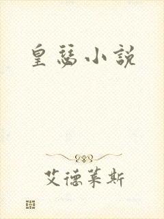 皇瑟小说封面